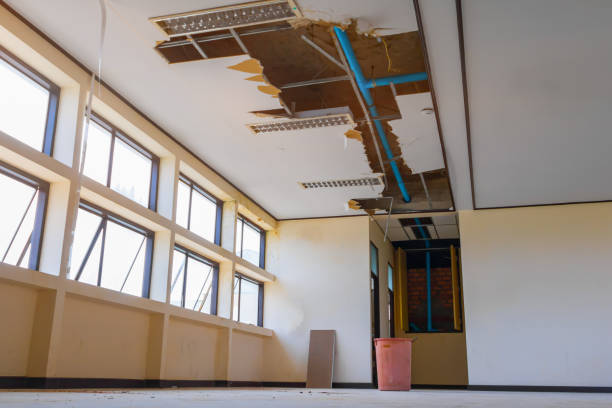 Best Flood restoration services  in Westwood, CA