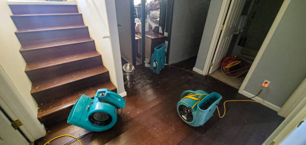 Best Water damage restoration company  in Westwood, CA