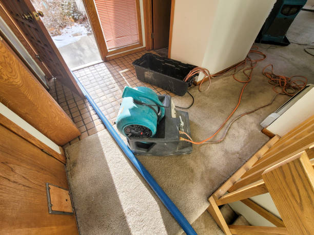 Trusted Westwood, CA Water damage restoration Experts