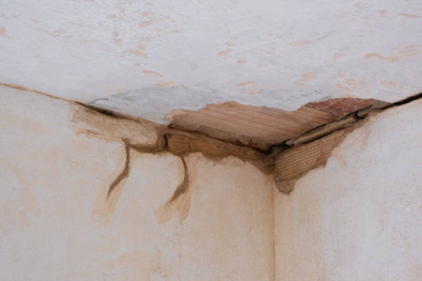 Best Basement water damage restoration  in Westwood, CA