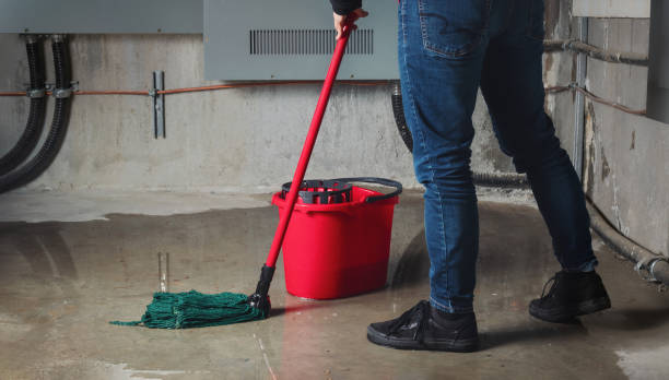 Best Water damage restoration experts  in Westwood, CA