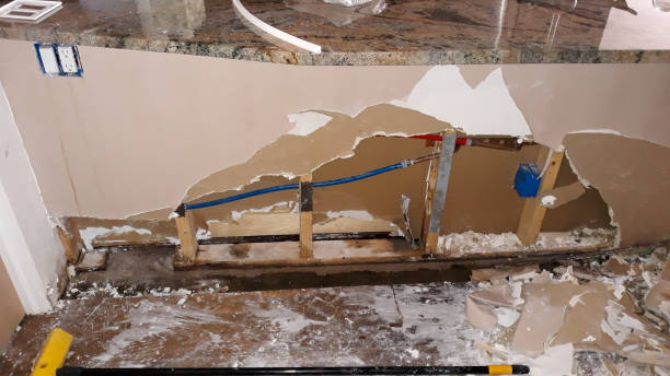 Best Water damage contractors near me  in Westwood, CA