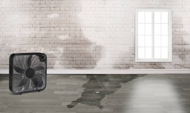 Trusted Westwood, CA Water damage restoration Experts