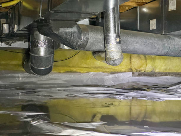 Best Water damage restoration process  in Westwood, CA