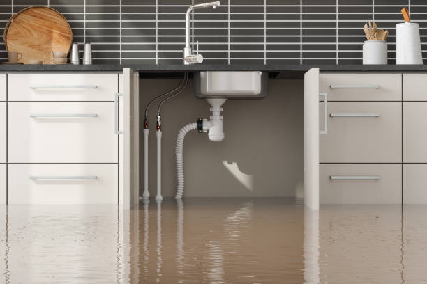 Water damage restoration experts in Westwood, CA