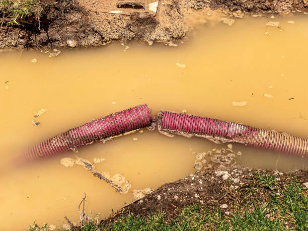 Best Sewage cleanup and water damage restoration  in Westwood, CA
