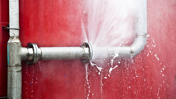 Best Mold removal after water damage  in Westwood, CA